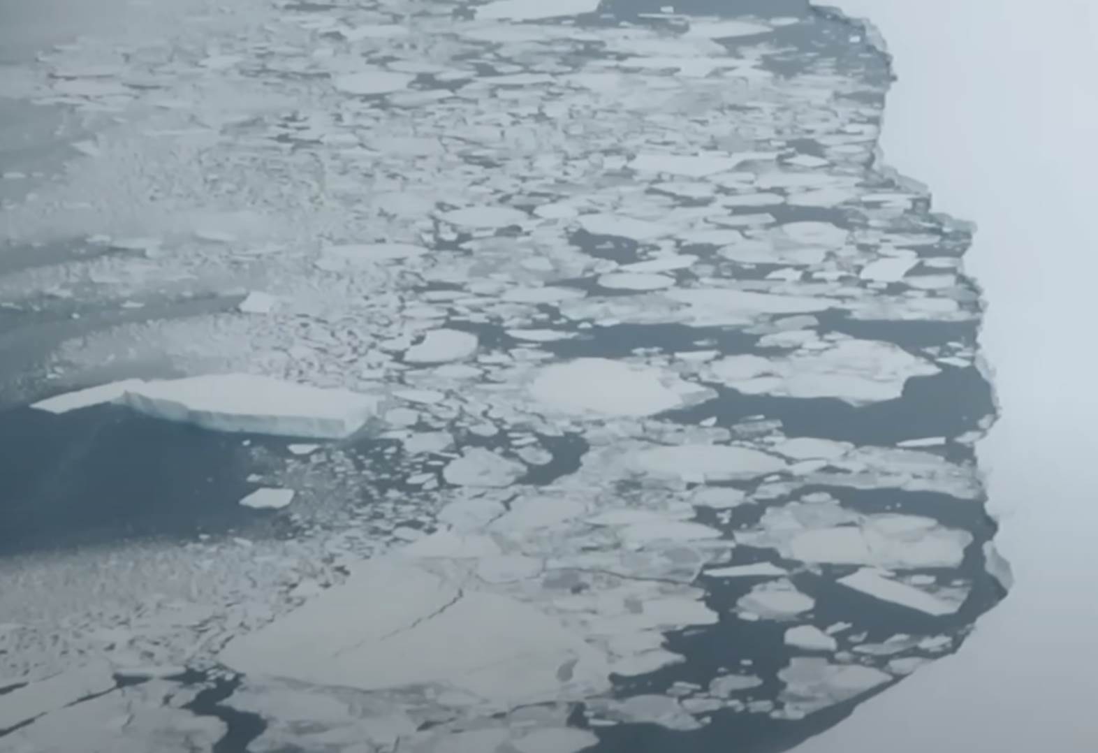  topljenje leda na antarktiku 