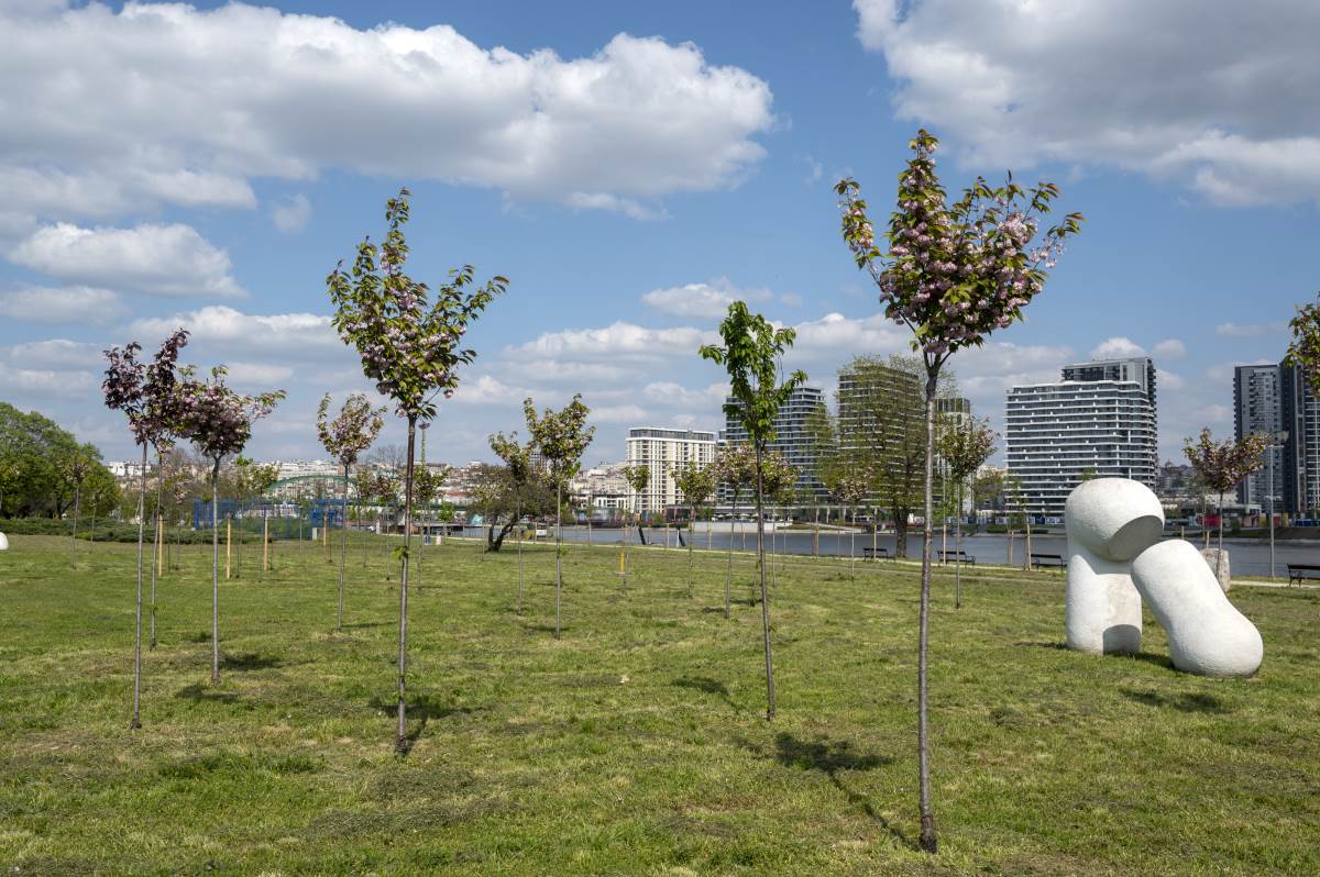 - JBAS/Goran Zlatković    - JBAS/Goran Zlatković