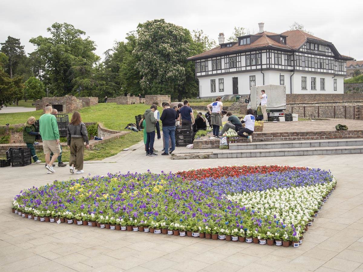  eu_cvetna_instalacija_kalemegdan_ (5).jpg - MONDO/Stefan Stojanović 
