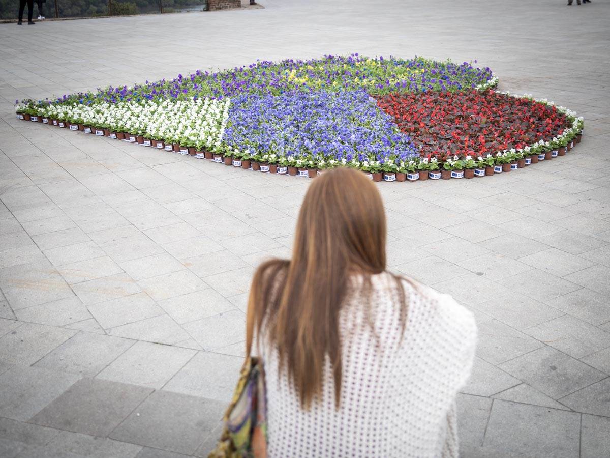 eu_cvetna_instalacija_kalemegdan_ (6).jpg - MONDO/Stefan Stojanović   eu_cvetna_instalacija_kalemegdan_ (6).jpg - MONDO/Stefan Stojanović