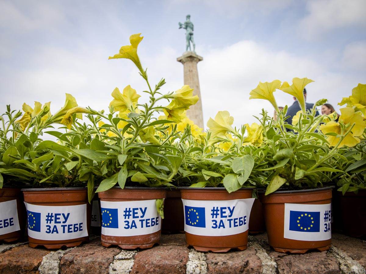  eu_cvetna_instalacija_kalemegdan_ (7).jpg 