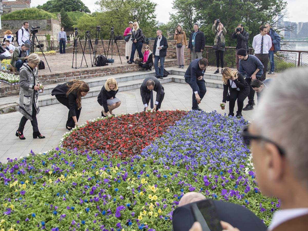  eu_cvetna_instalacija_kalemegdan_ (18).jpg 