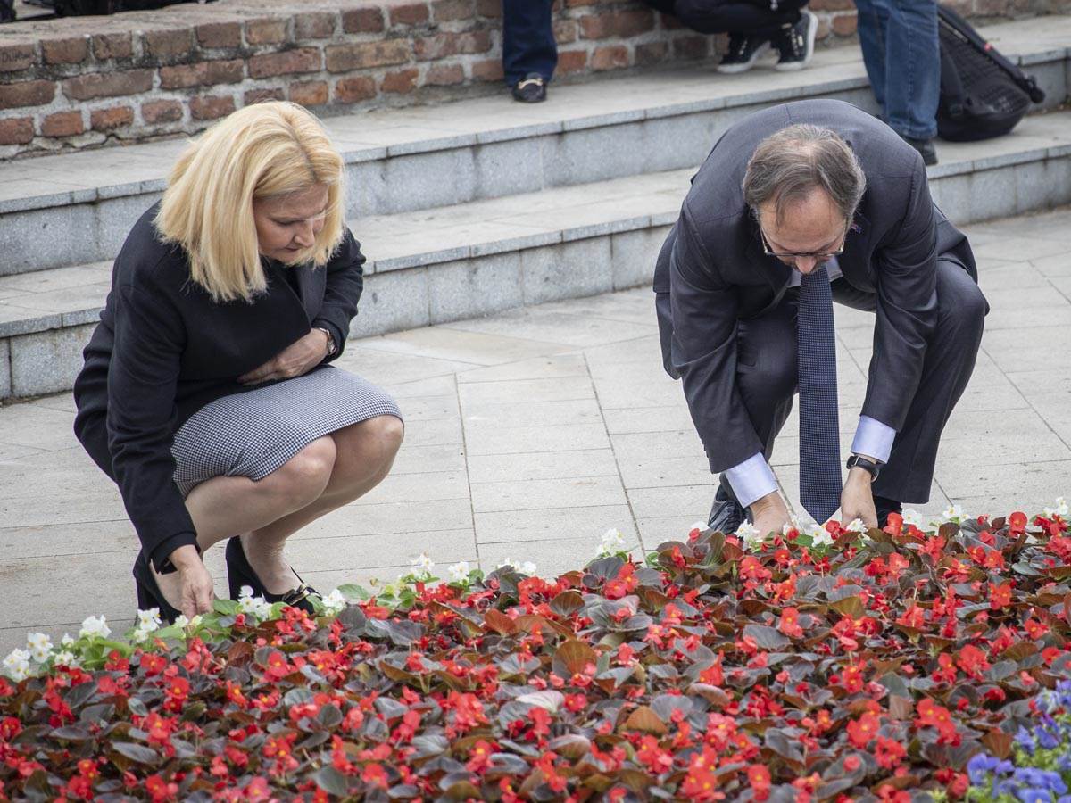  eu_cvetna_instalacija_kalemegdan_ (19).jpg - MONDO/Stefan Stojanović 