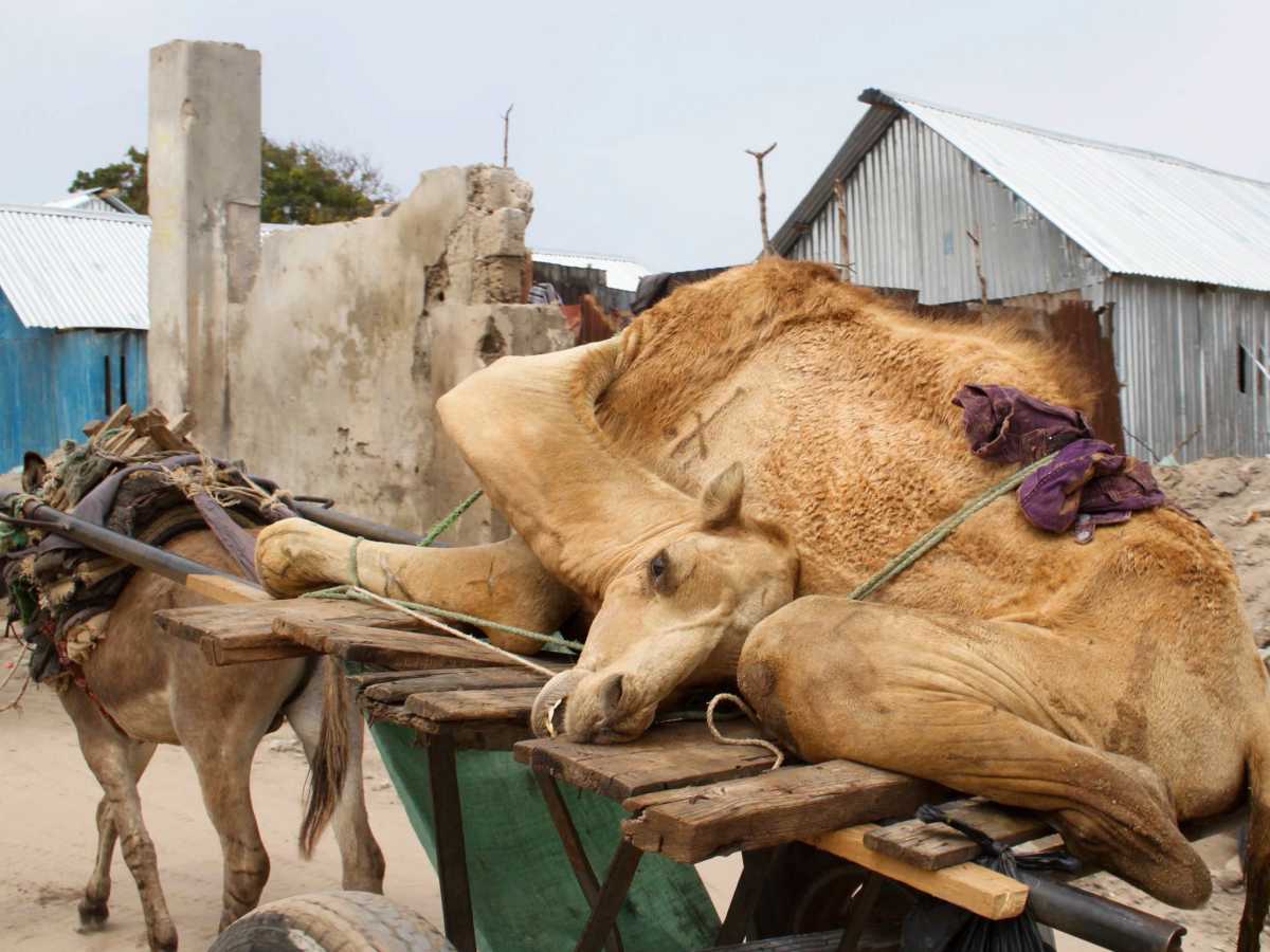 3357639 (1).jpg   3357639 (1).jpg