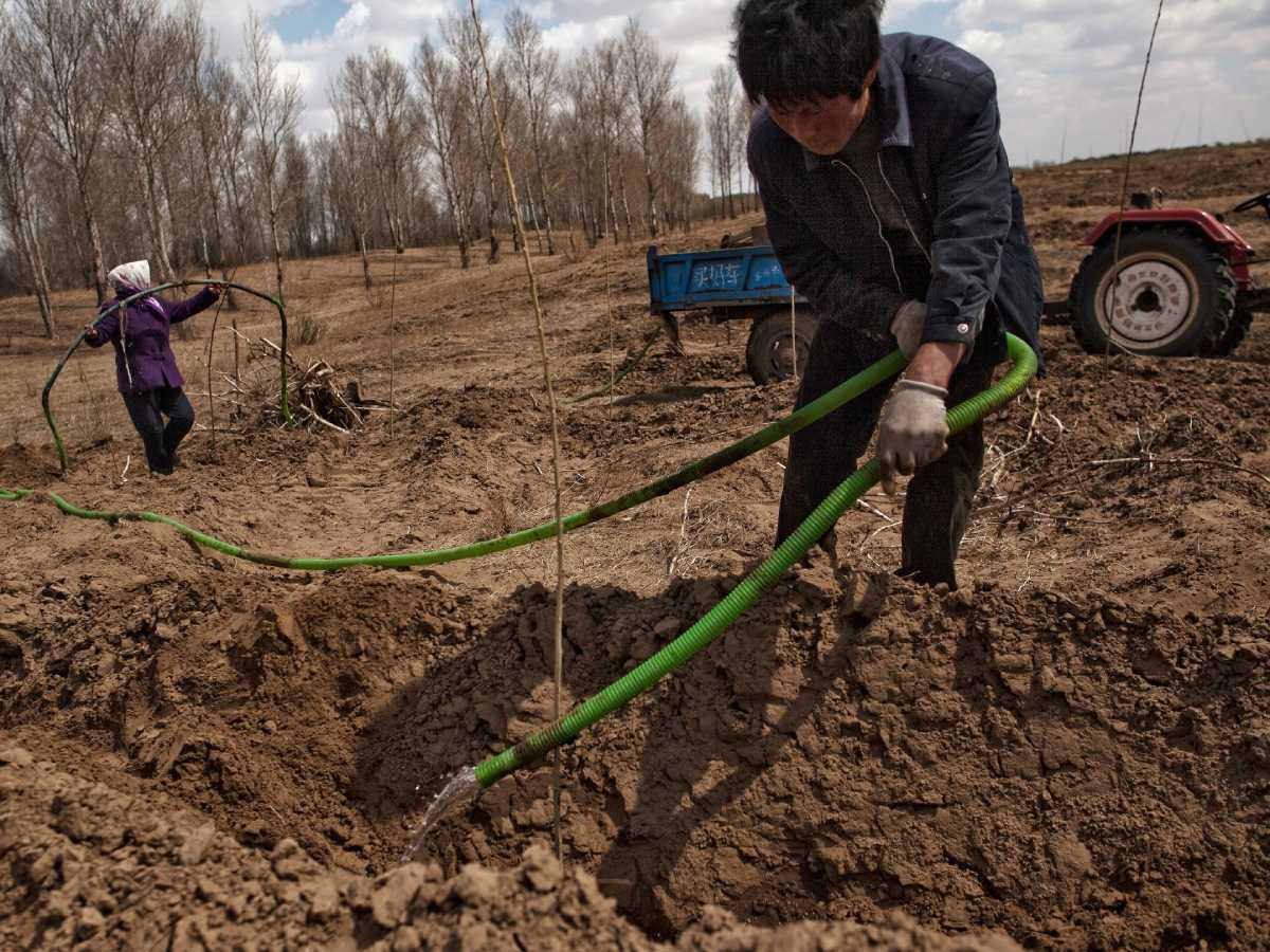 2909869 (1).jpg   2909869 (1).jpg