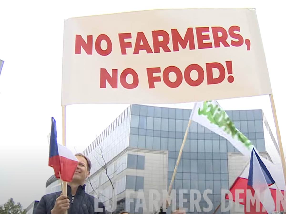 Brisel Protest Brisel Protest