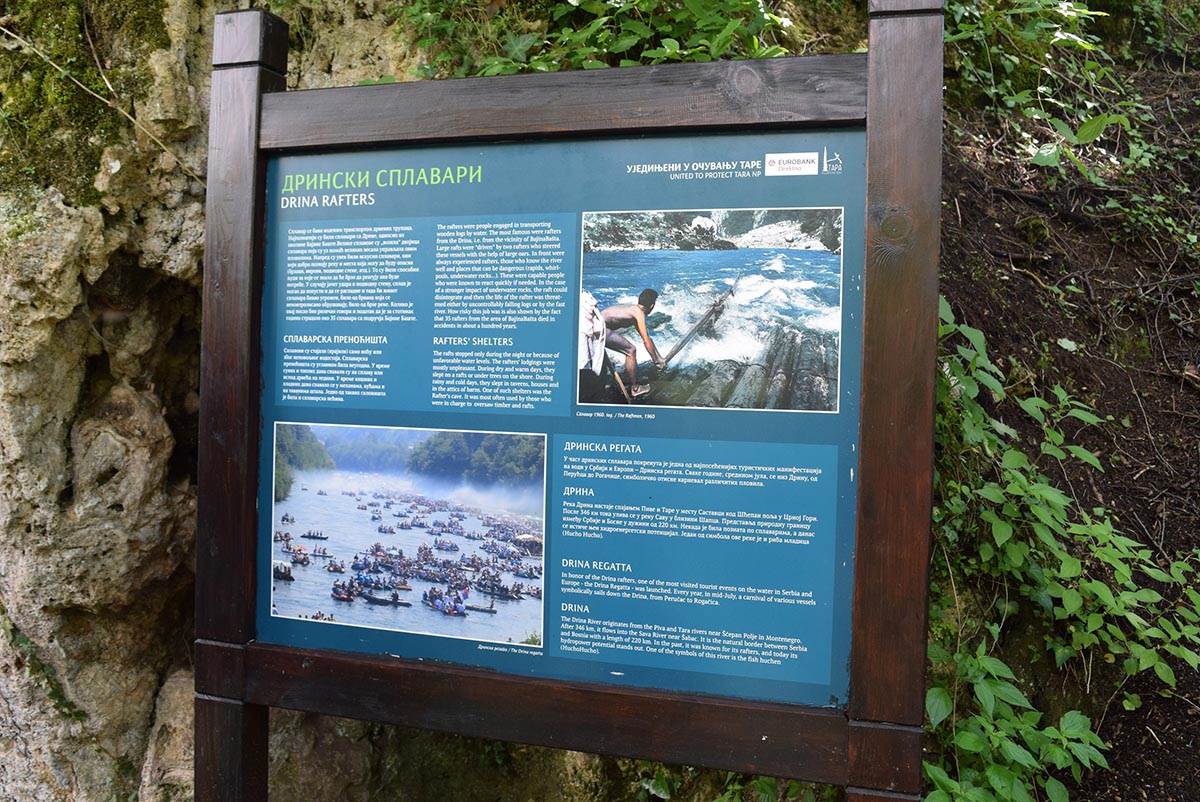  4 foto Vesna Radovic, Fonet.jpg - Vesna Radovic 