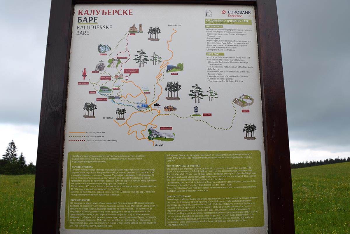  3 - foto Vesna Radovic, Fonet.jpg - Vesna Radovic 