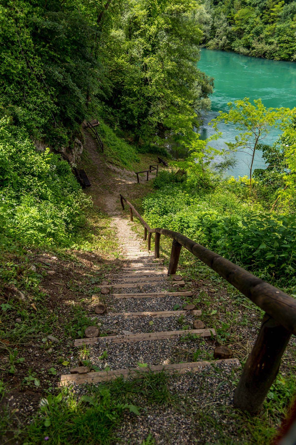  2- foto Aleksandar Gavrilovic.jpg 