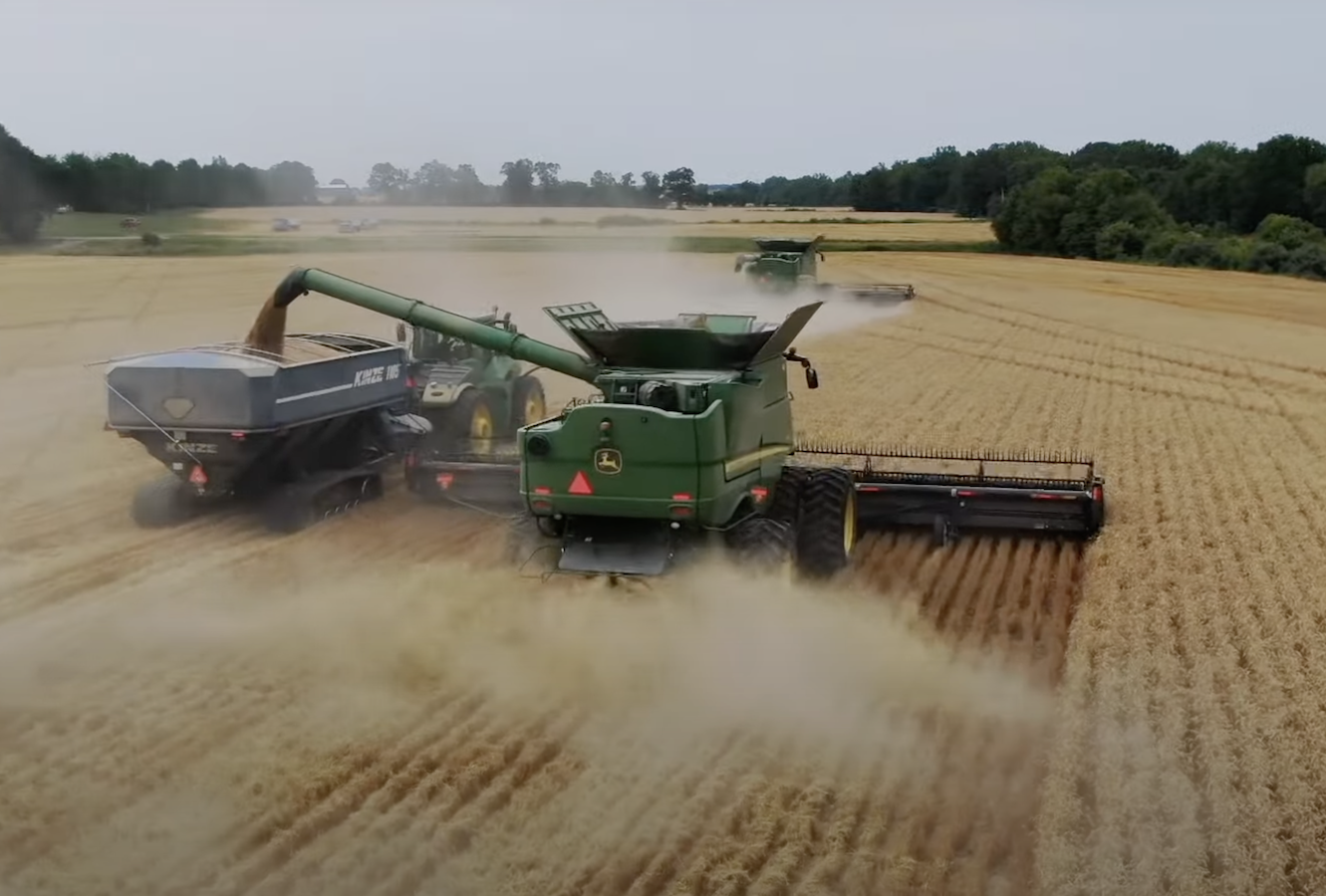 polje zita.jpg   polje zita.jpg