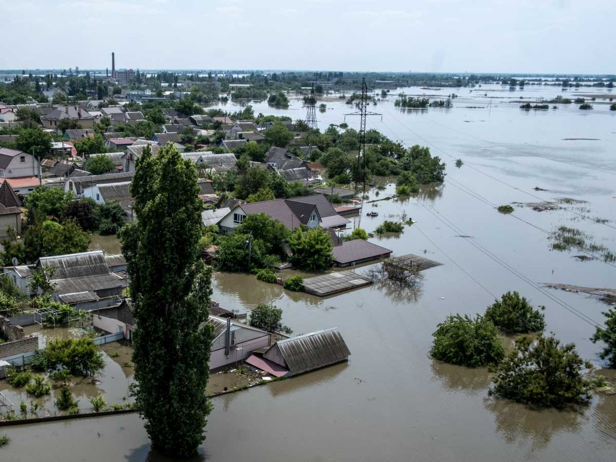 11524839 (1).jpg   11524839 (1).jpg