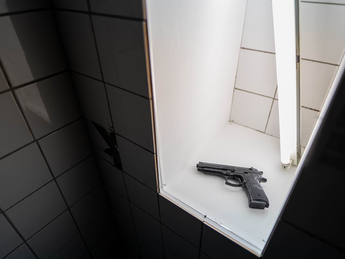  Dubravka Stojanović-09407.jpg 