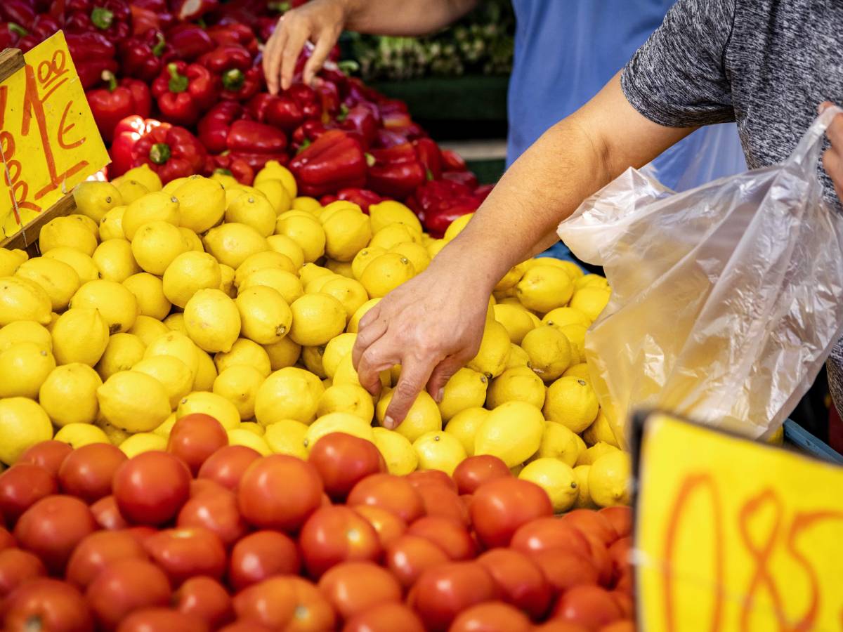 Povrće.jpg   Povrće.jpg