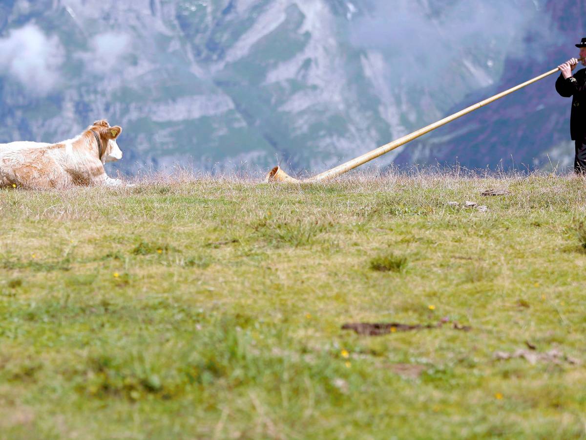 Krave.jpg   Krave.jpg