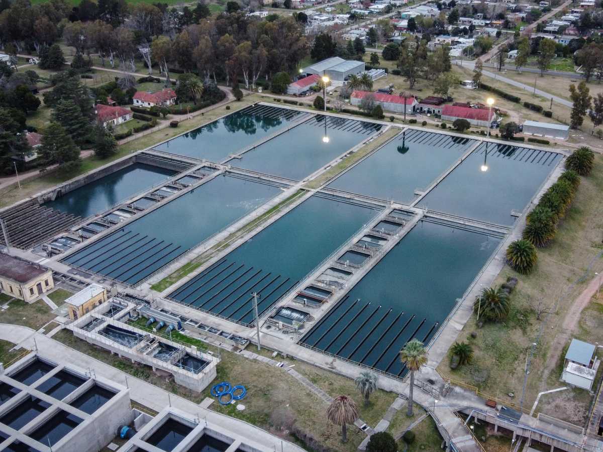 11591065 (1).jpg   11591065 (1).jpg