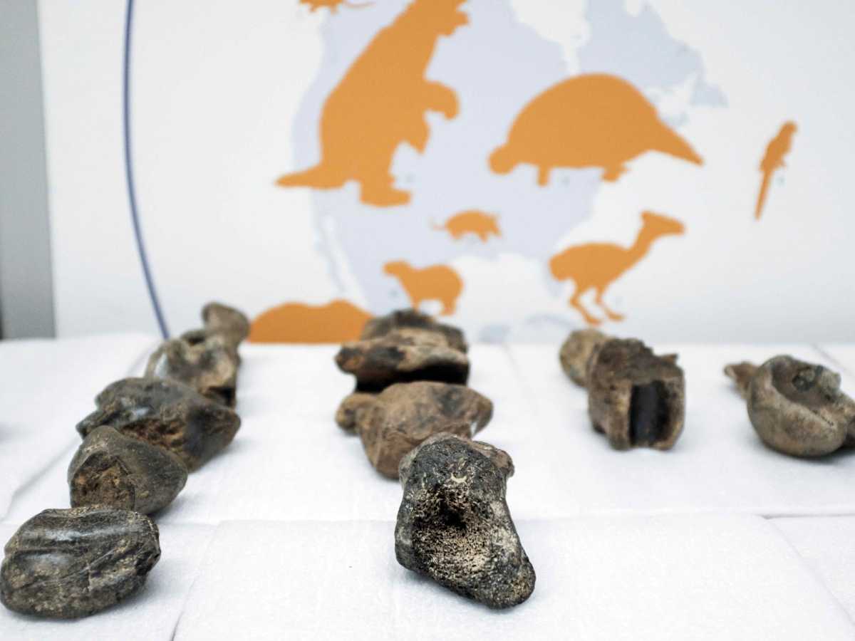 9499966 (1).jpg   9499966 (1).jpg