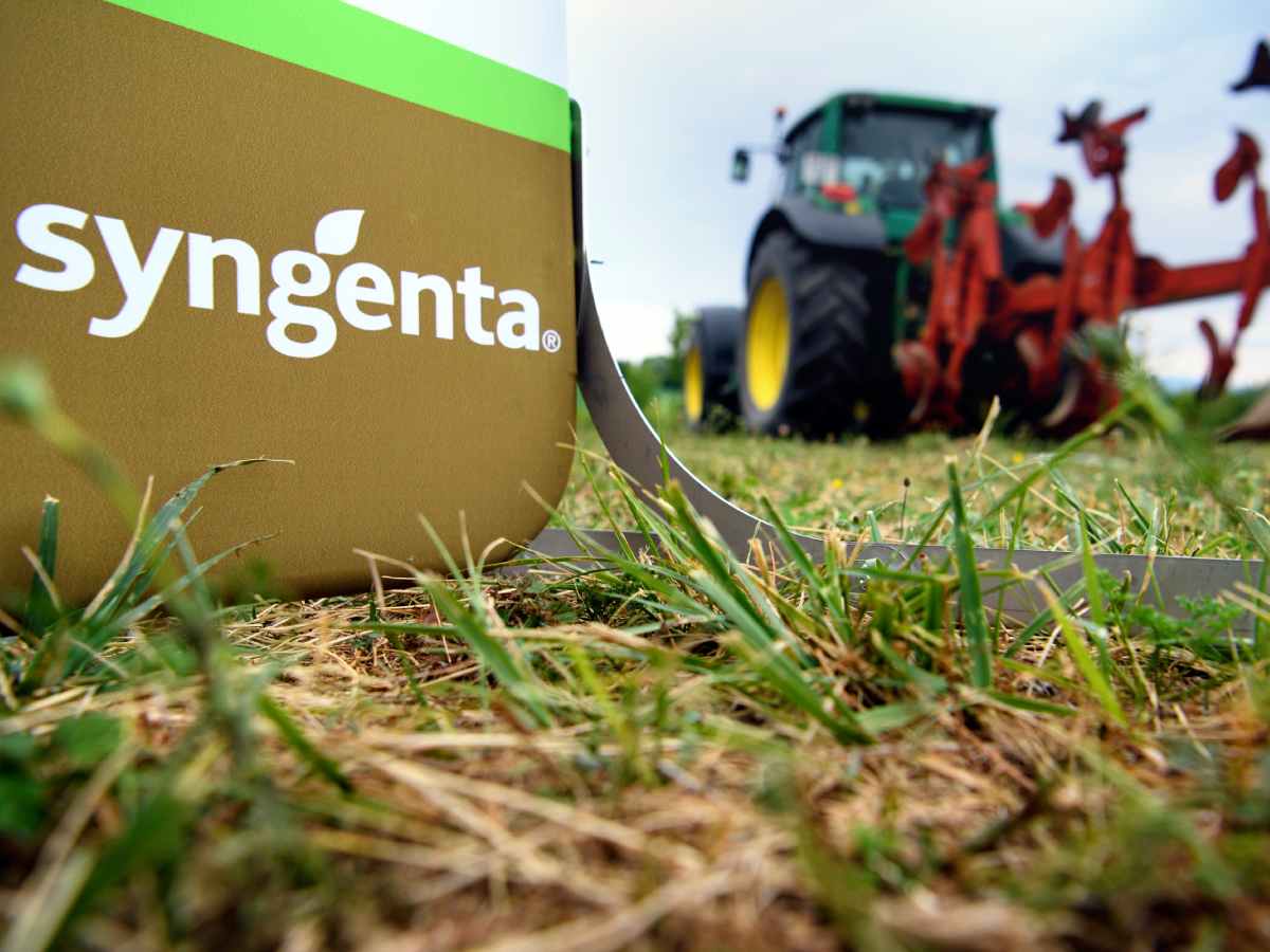 Singenta.jpeg   Singenta.jpeg