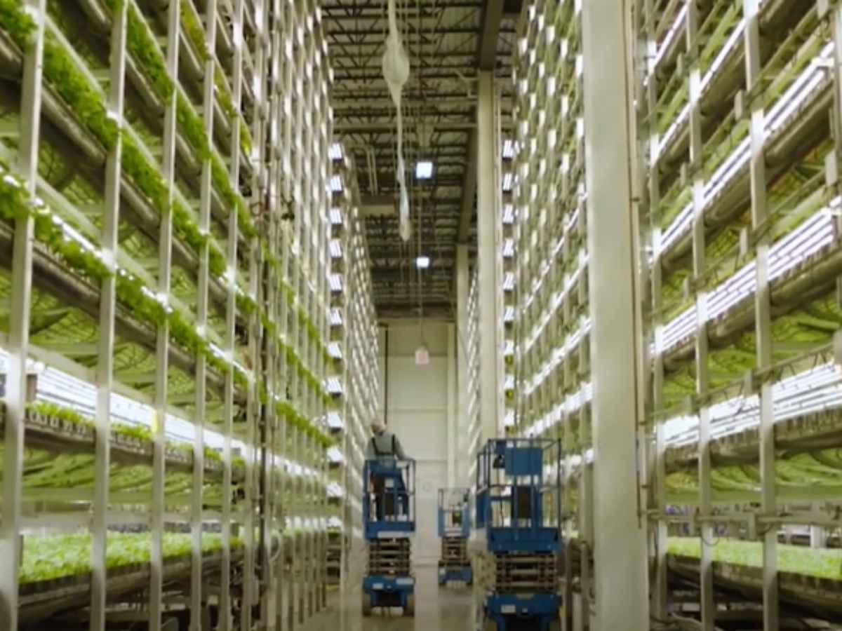 farma.jpg farma.jpg