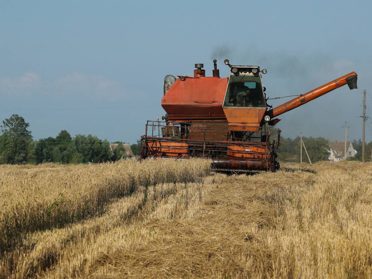 Žitarice (1).jpg Žitarice (1).jpg