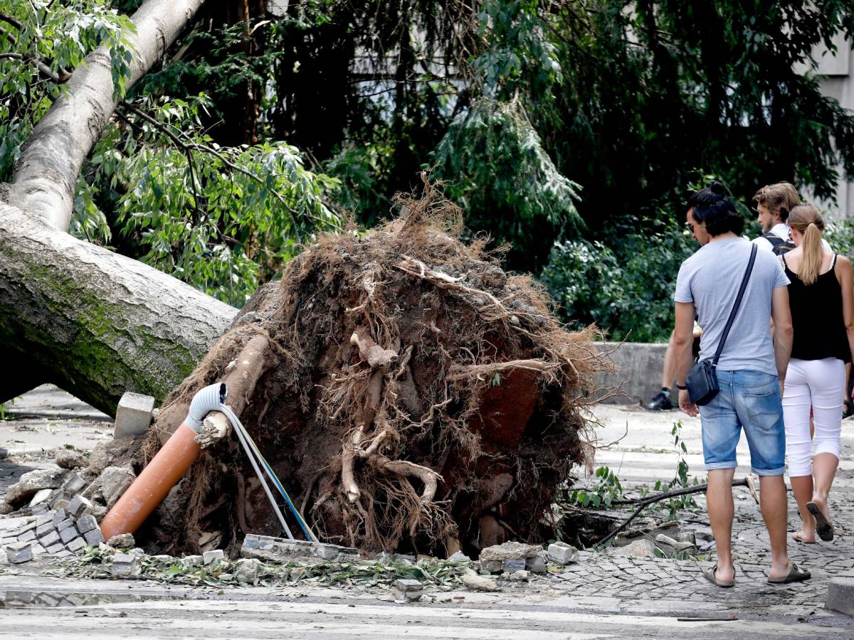 Nevreme.jpg   Nevreme.jpg