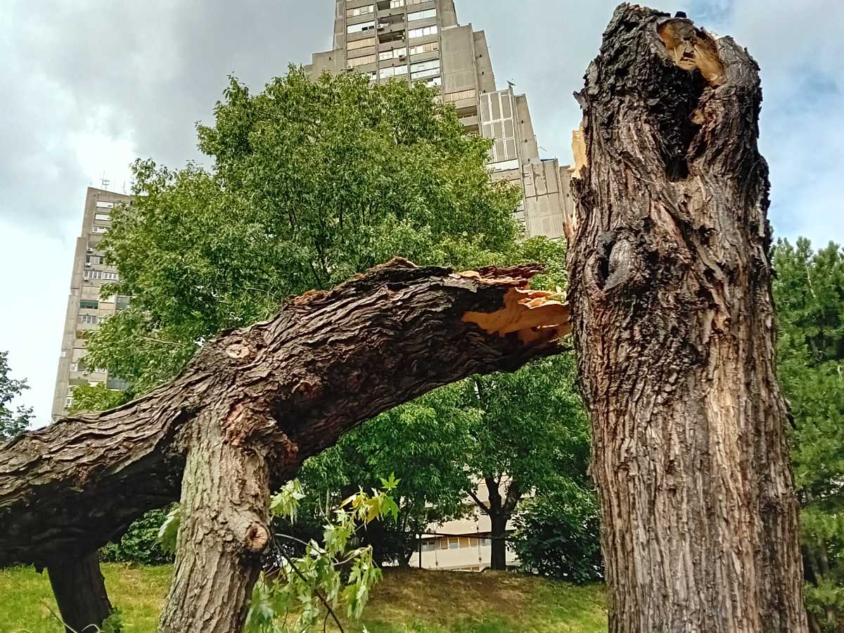 20230806_153144 (1).jpg   20230806_153144 (1).jpg