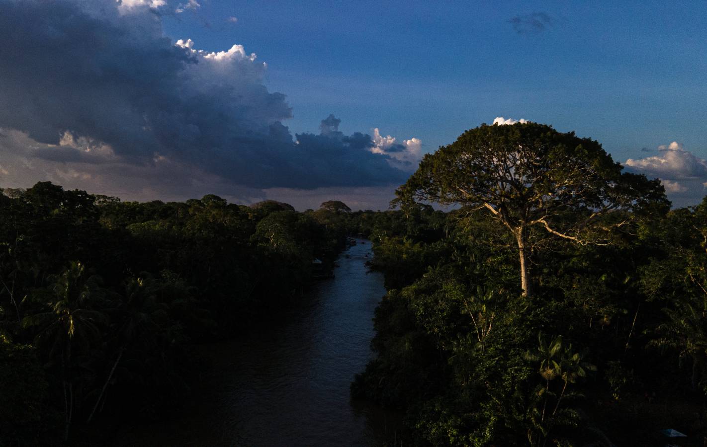 11640818 (1).jpg   11640818 (1).jpg