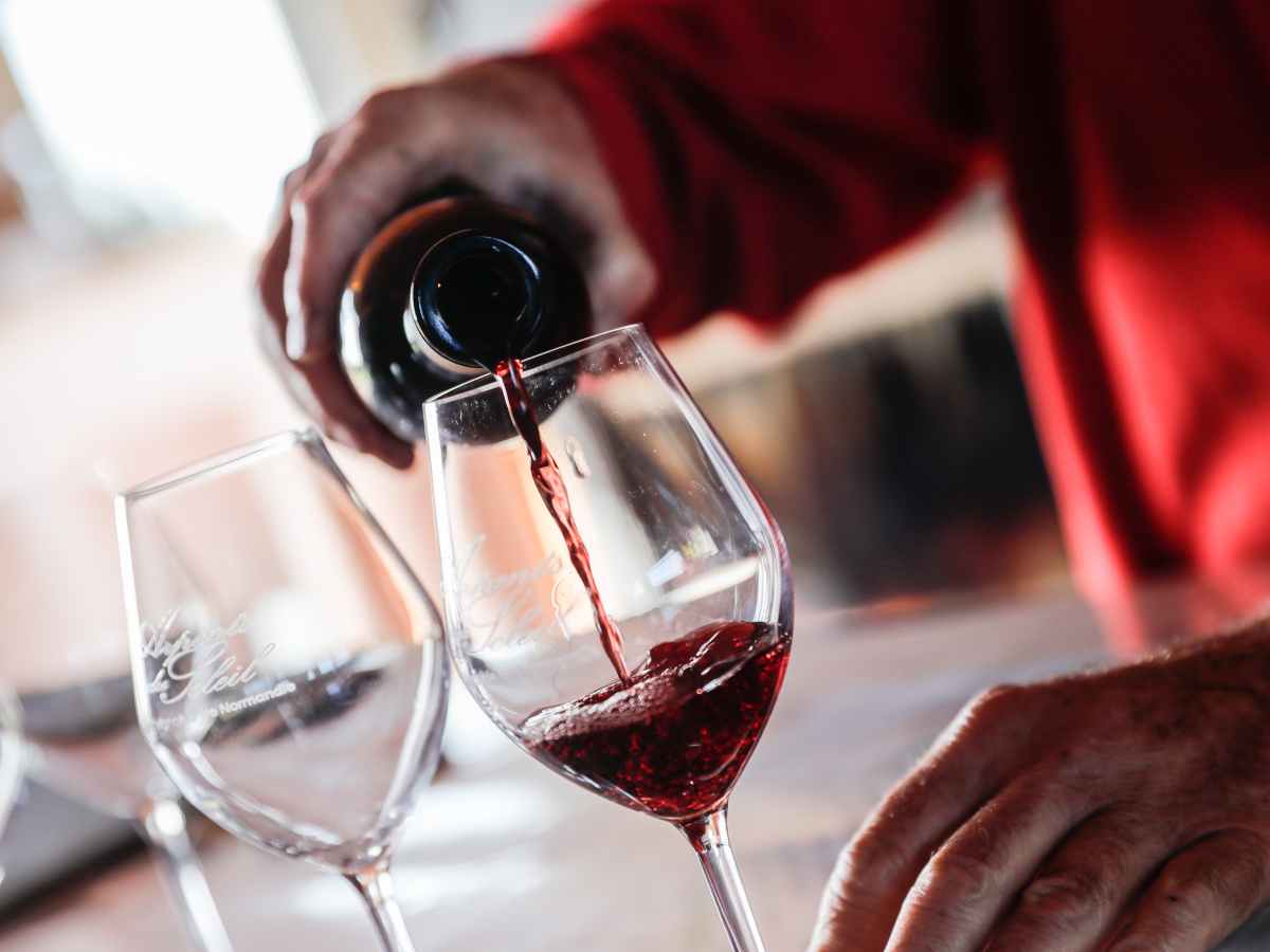 Vino, alkohol, piće   Vino, alkohol, piće