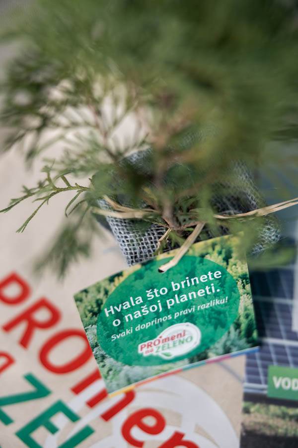  ZM__0002.jpg - Promo 