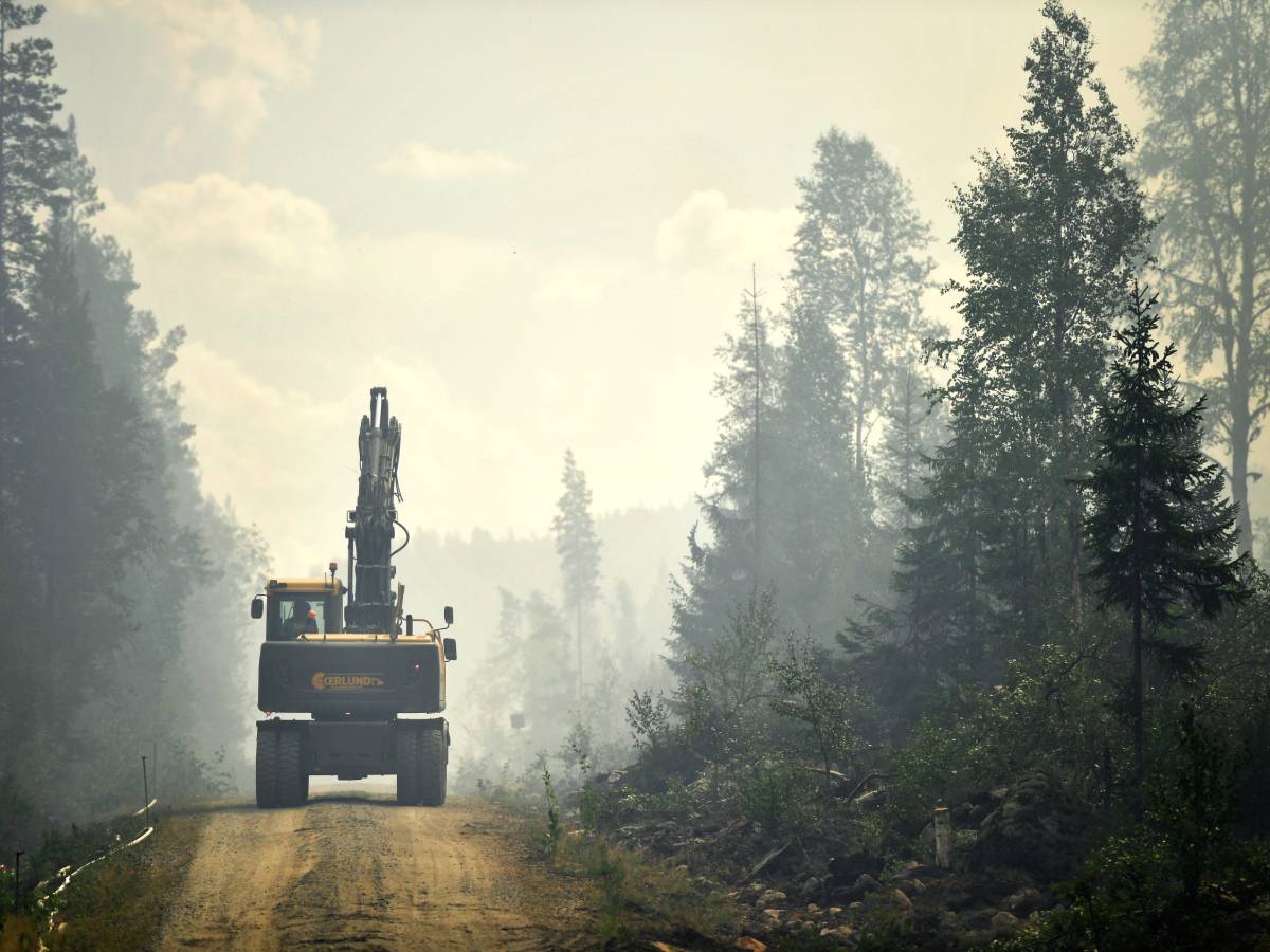 Šume (1).jpg   Šume (1).jpg