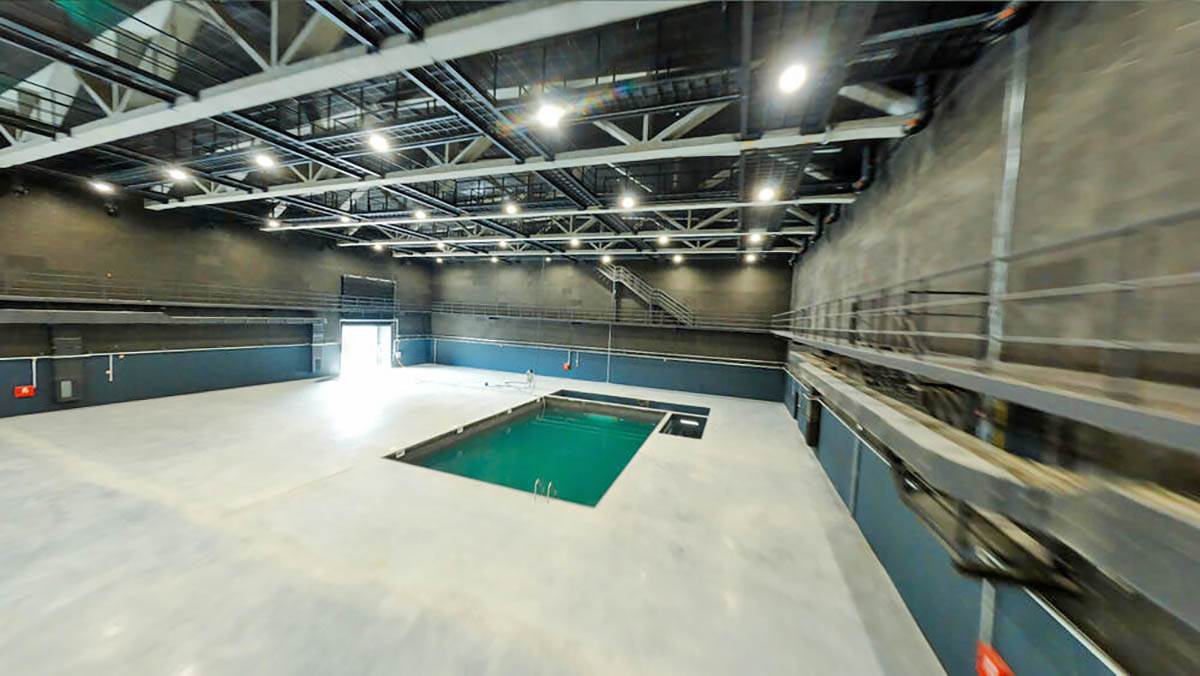  Firefly (1).jpg - Promo 