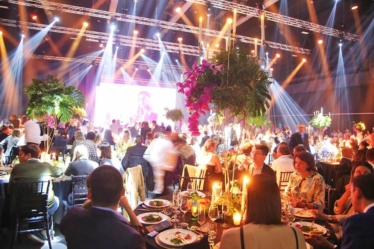  SPEKTAKL POVODOM OTVARANJA FIREFLY STUDIOS (16).jpg - Kurir/Damir Dervišagić 