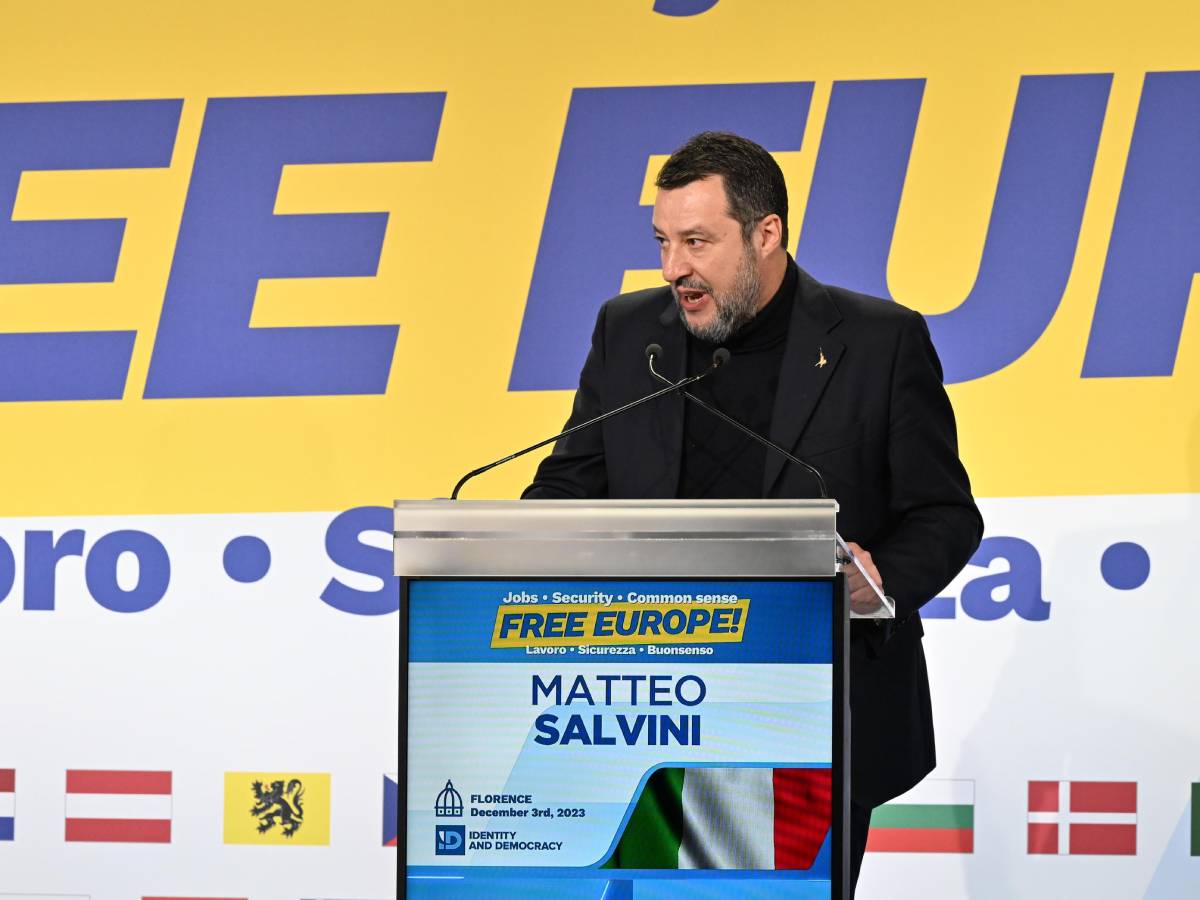 Mateo.jpg Mateo.jpg