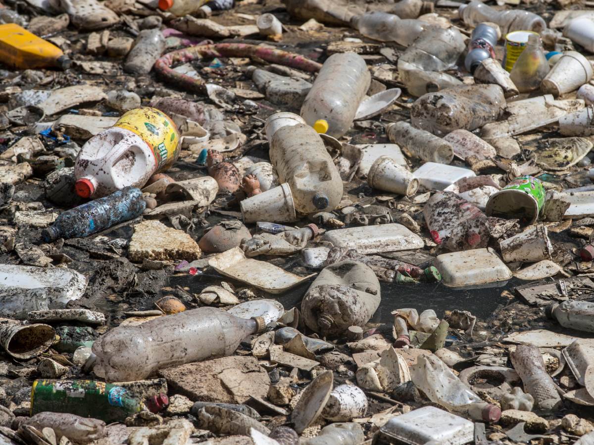 plastika.jpg   plastika.jpg