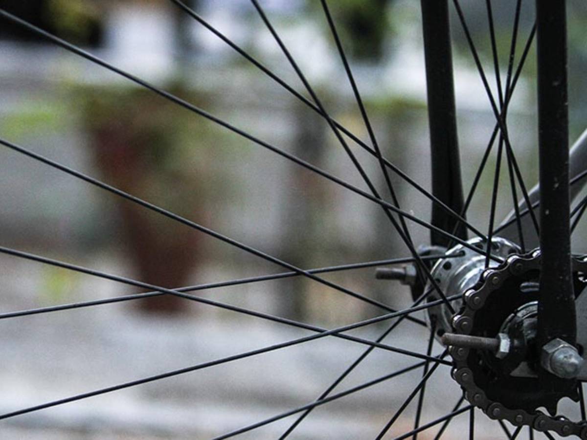 GetOriginalImageById (77) (1).jpg   GetOriginalImageById (77) (1).jpg