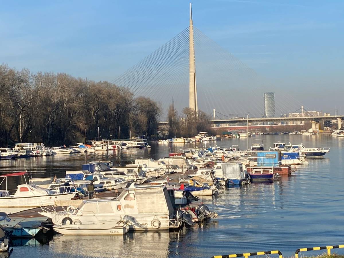 IMG_2727 (1).jpg   IMG_2727 (1).jpg