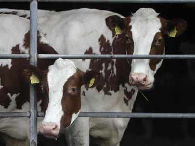 IMG_20230427_145714 (4).jpg   IMG_20230427_145714 (4).jpg