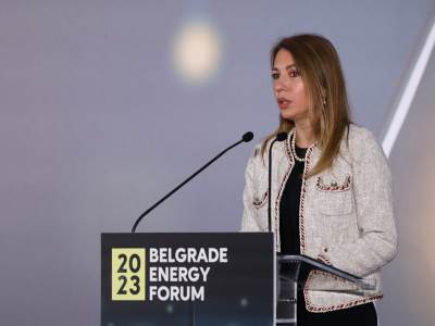 Dubravka Đedović Dubravka Đedović