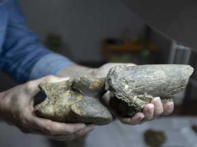 9499991 (1).jpg  9499991 (1).jpg