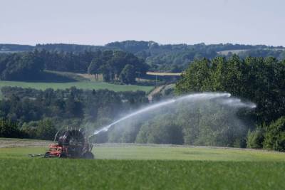 11537516 (1).jpg  11537516 (1).jpg