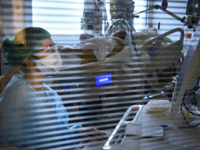 10613121 (1).jpg  10613121 (1).jpg